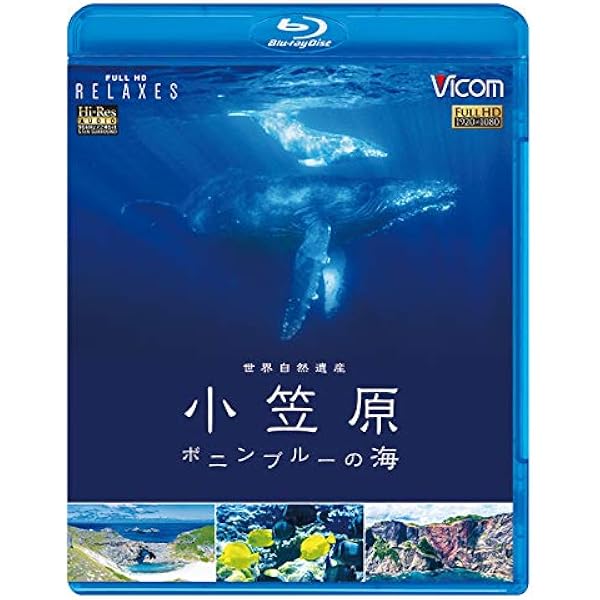 Amazon.co.jp: ビコム Relaxes BD 四季 高野山 [Blu-ray] : ビコム株式